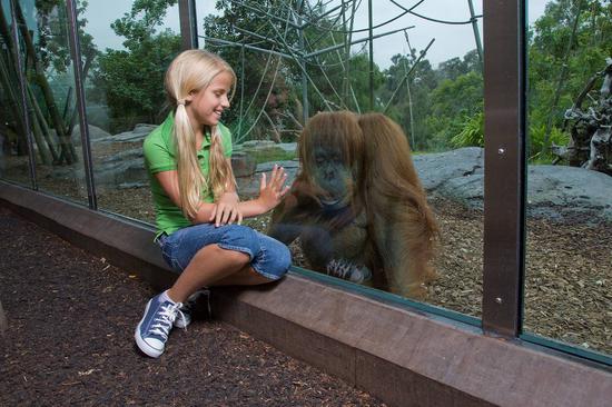 圖片版權：圣地亞哥動物園